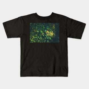 Aerial view of color autumn forest Kids T-Shirt